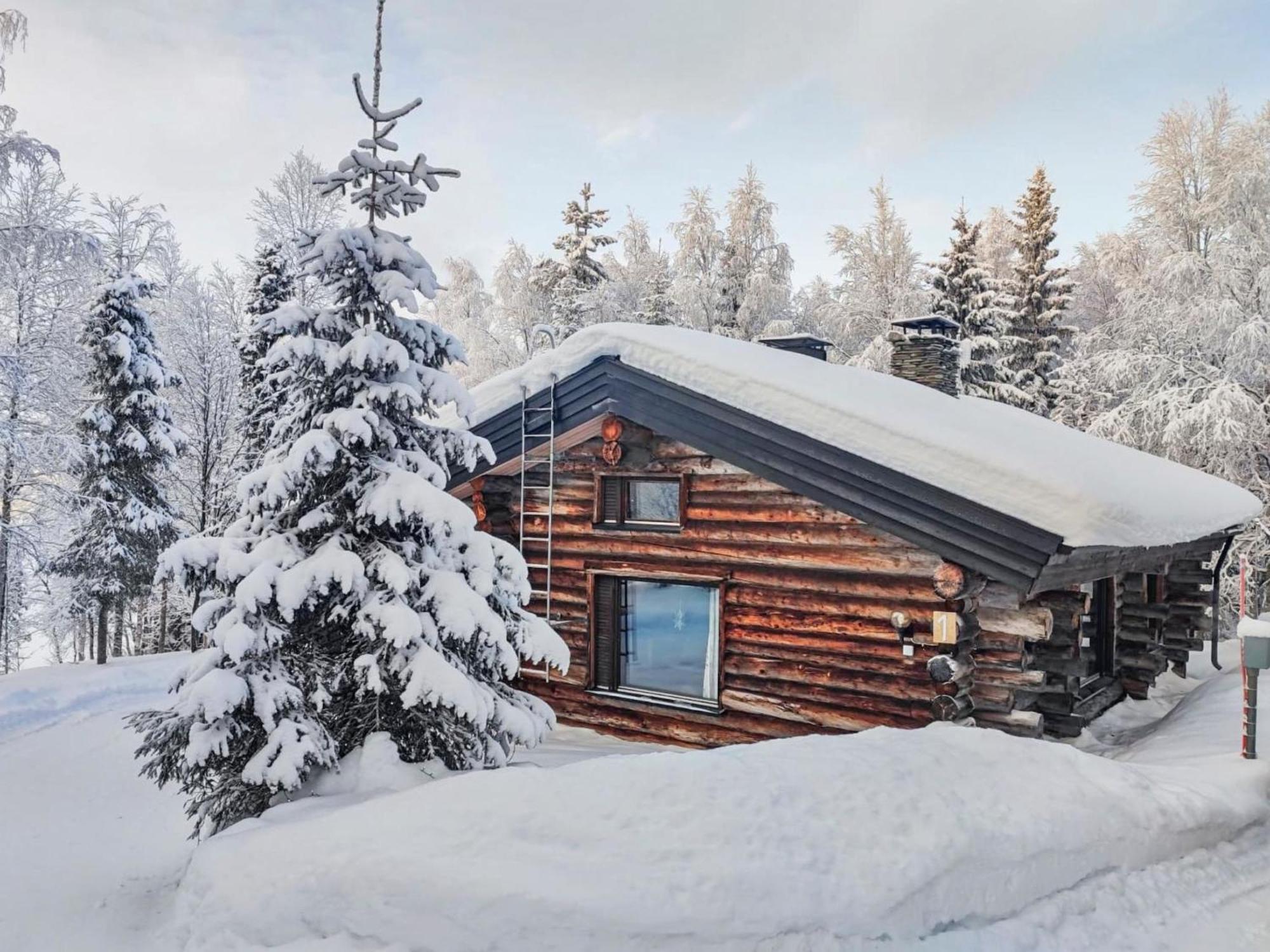 Holiday Home Hallan Kelo By Interhome ルカ エクステリア 写真
